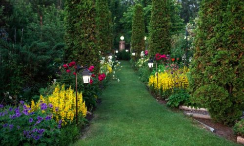 5 consigli per un giardino perfetto