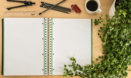notes, notebook, write, a book, paper, to learn, to study, study, open, writing tool, desk, office, pen, spiral binding, table, empty pages, empty, accessories, study, study, study, study, study