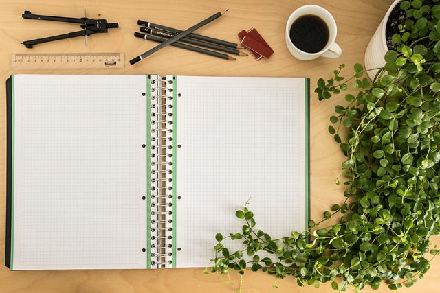 notes, notebook, write, a book, paper, to learn, to study, study, open, writing tool, desk, office, pen, spiral binding, table, empty pages, empty, accessories, study, study, study, study, study
